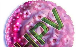 HPV复发原因有哪些